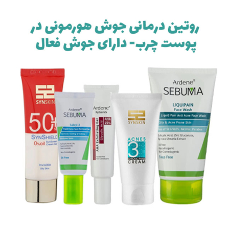 روتین درمانی جوش هورمونی در پوست چرب – دارای جوش فعال_67bc7ce76e079.jpeg