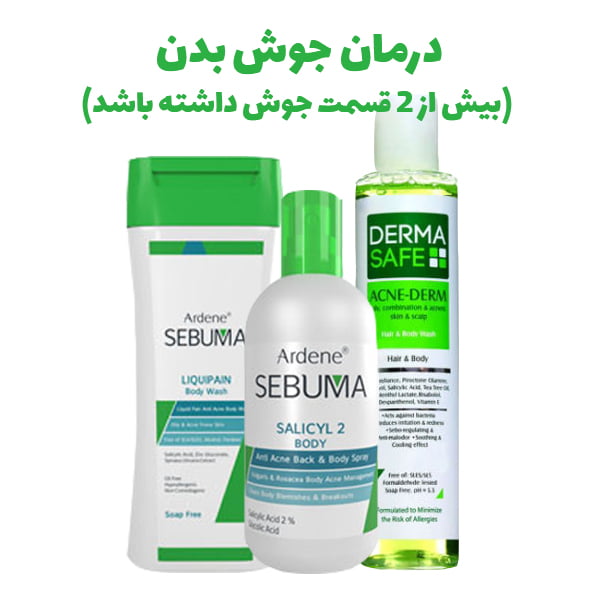 پکیج درمان جوش بدن (بیش از ۲ قسمت درگیر جوش باشد)_67bc7c771f3fb.jpeg